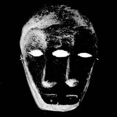 Brood V-VIII