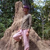 Near Jan Jang Burreh, The Gambia.