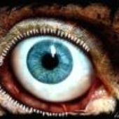 Avatar for Deathtruction