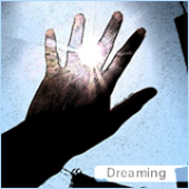 DreamingToFly için avatar