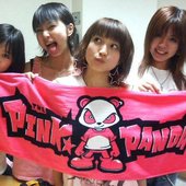 ポップス+ロック(邦楽) THE PINK PANDA 2004-2008 Amazon.co.jp: THE PINK☆PANDA 2004-2008: ミュージック