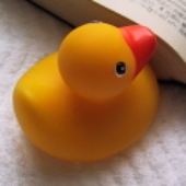 Avatar for duckie132
