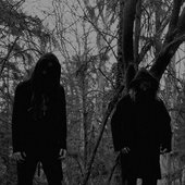 Rotten Light