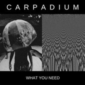 What You Need