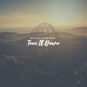 Tone It Down - Single