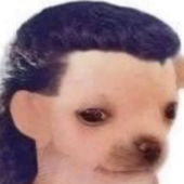 Avatar di Skeletonix12