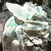 artworks-ftxIf2k767GMQFDA-Xo2ozg-t500x500.jpg