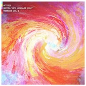 Hey, How Are You? Remixes Vol. 2