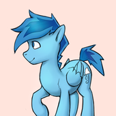 Replacer Pony