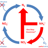 AnammoxProcess 的头像