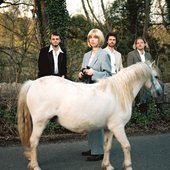 Divorce_horse_british_pony_ambience