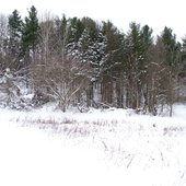 bville winter