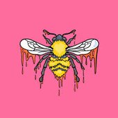 David's Bridge - Single