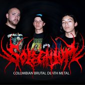  Solegnium, band