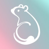 Spotify Icon