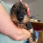 IMG_9709.jpeg