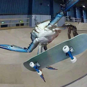 oyyblin 的头像