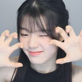 ratinhy 的头像