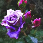 IMG_4953.jpeg