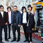 Radiolites Dec2010