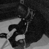 Osculum Obscenum (Bra)