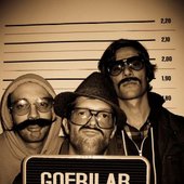 gofrilab.jpg