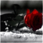 Avatar for Blood_Of_Rose