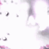 ronaldorzech 的头像