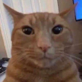 Aleex_3 的头像