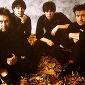 stranglers