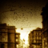 sepia promo 2009 4x6