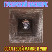 Picsart_23-06-09_20-49-30-481.jpg