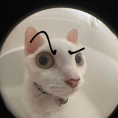 Avatar für AkiraIsNotReal