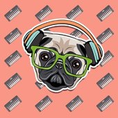 Hipster Pug