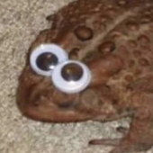 BenjiYaMate 的头像