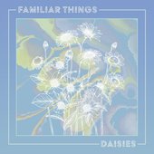 Daisies