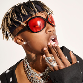 Xduppy.png