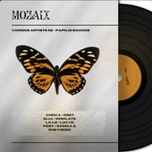 MX - VA02 PAPILIO BACHUS