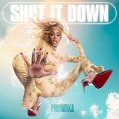 Shut It Down - Single