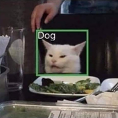 thecatthatbarks 的头像