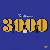 3000