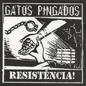 Gatos Pingados-\"Resistencia\"