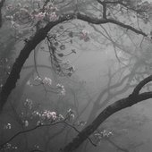 on my own [Explicit]