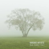 Dub Addict, Vol​.​ 1