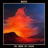 The Amber Sun Saloon