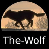 The-Wolf 的头像