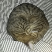 BigBigBaby 的头像