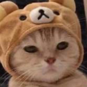 Avatar for Karma_u