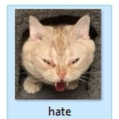 adhdgengar 的头像