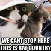 Avatar for TheWholeTruth
